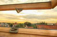rated Woodnesborough roof window companies